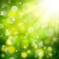 Green bokeh background, summer, spring, yellow white, circles, spots, rays, blurred Royalty Free Stock Photo