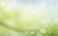 Background bokeh Planed floor and grass Royalty Free Stock Photo