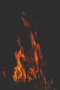 Dark background bonfire from branches in the fireplace . flame and sparks. Royalty Free Stock Photo