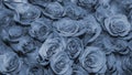 Background of a bouquet of beautiful flowers. Roses. Buds. Design. Toning. Blueprint. Close up. Royalty Free Stock Photo