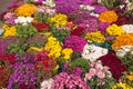 Background of bouquets of autumn flowers