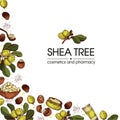 Background with branch Shea tree with fruits, nuts, leaves and Shea butter. Detailed hand-drawn sketches, vector