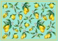 The background of the branches of fresh citrus fruit lemons with green leaves and flowers. Royalty Free Stock Photo