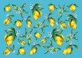 The background of the branches of fresh citrus fruit lemons with green leaves and flowers.