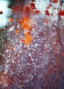 Background with branches and raindrops Royalty Free Stock Photo