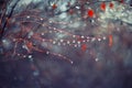 Background with branches and raindrops Royalty Free Stock Photo