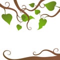 Background with branches on white. branches and leaves