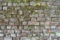 Background of a brick wall with moss and weeds