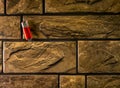 Background, brick wall, for design solutions, upper angle, side lighting. close-up.