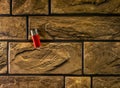 A set of all-different objects for photographic purposes against the background of a brick wall in close-up.