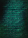 The background is a brick wall of rich green shades. Royalty Free Stock Photo