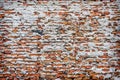 Background of brick  wall texture Royalty Free Stock Photo