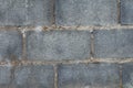 Background bricks texture detail art