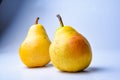 pears. Two whole yellow green pear fruits  on white with clipping path Royalty Free Stock Photo