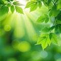 background with bright green leaves on a blurred backlit