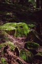 Background with bright green moss and natural rough granite stone, with red and black fragments rock, solid colorful