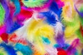 Background of bright painted feathers