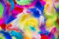 Background of bright  painted feathers Royalty Free Stock Photo