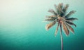 The background of a bright summer day is filled with a colourful palm tree, all generated through 3D rendering Royalty Free Stock Photo