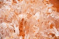 Background from broken pieces of ice. Texture, pattern, closeup Royalty Free Stock Photo