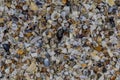 Natural background of broken seashells on beach. Royalty Free Stock Photo