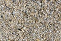 Background of broken seashells on the sea beach Royalty Free Stock Photo