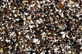 Background of broken shell and pebbles on a beach Royalty Free Stock Photo