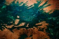 Background bronze green abstract blot wall bright