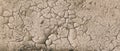 Background Of Brown Dry Cracked Soil Dirt Or Earth During Drought. Dry Cracked Earth Depicting Severe Drought Conditions Royalty Free Stock Photo