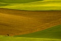 Background of brown earth between green fields. View of freshly plowed field ready for seeding and planting in spring Royalty Free Stock Photo