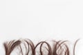 Background with brown hair tips. The tips of the hair stick out from the bottom or top on a light gray background. Curls of hair Royalty Free Stock Photo