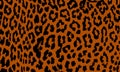 Background with brown leopard skin texture