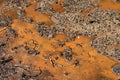 Background of brown mud with bright orange chemicals, environmental pollution, toxic waste hazard