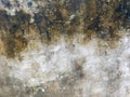 Background grey wall texture abstract grunge ruined scratched. Abstract of painted wall surface Royalty Free Stock Photo