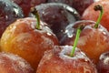 Background of a bunch of plums