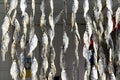 Background of the bundles of dried fish