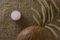 Background from burlap with rye bread, ears of a rye and a saltcellar.