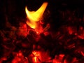 Background of burning coals and wood in the fire. Burning wood to keep warm and heat. Royalty Free Stock Photo