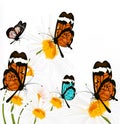 Background with butterflies and chamomiles