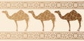 Background with camels. Ethnic pattern. Royalty Free Stock Photo