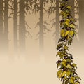 Cartoon brown woods with yellow ivy plant