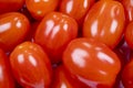 Background of cherry tomato. Top view. Fresh cherry tomatoes. Tomato background. Royalty Free Stock Photo