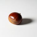 Background. The chestnut has a rich reddish brown hue with a matte Royalty Free Stock Photo