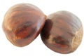 Background of chestnut Royalty Free Stock Photo