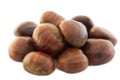Background of chestnut Royalty Free Stock Photo