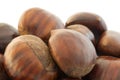 Background of chestnut Royalty Free Stock Photo