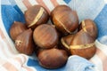 Background of chestnut Royalty Free Stock Photo