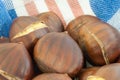 Background of chestnut Royalty Free Stock Photo
