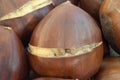 Background of chestnut Royalty Free Stock Photo