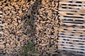 Background on chopped firewood stacked in woodpile . Royalty Free Stock Photo